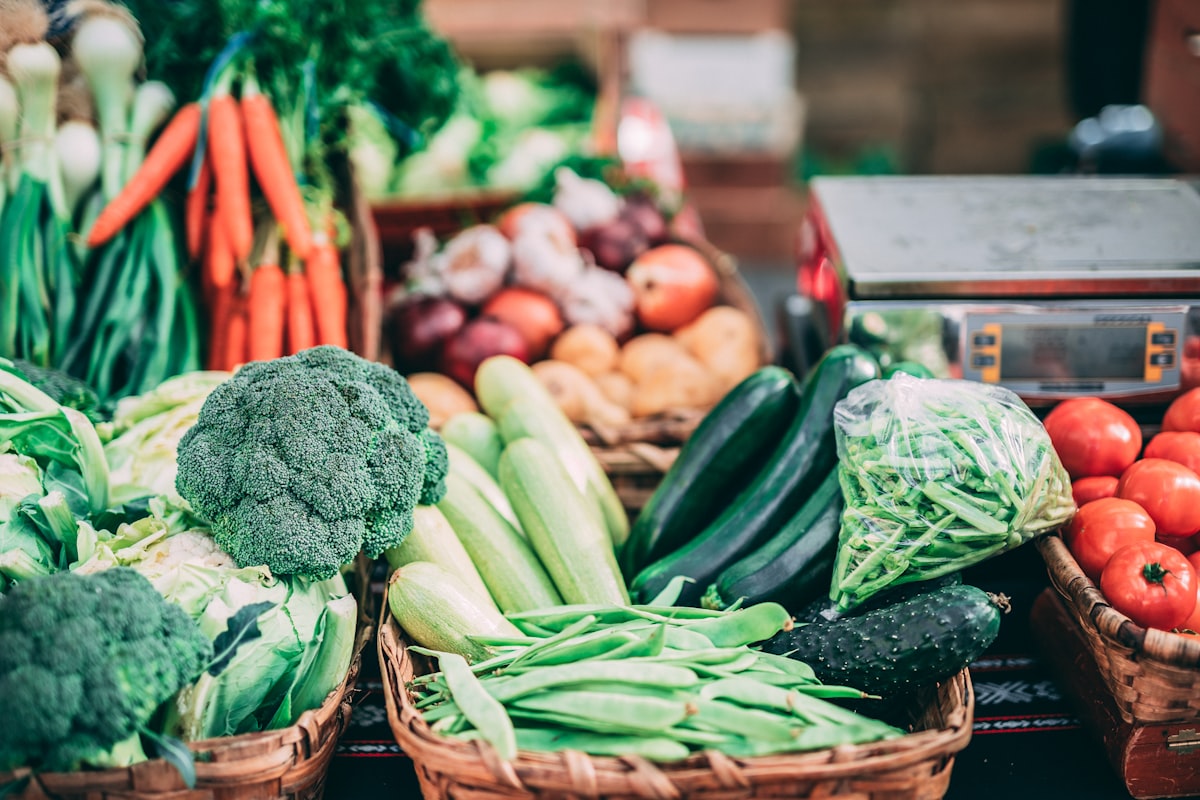 Alimentos fermentados